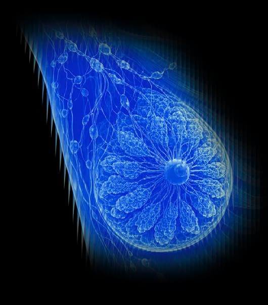 Breast ultrasound course artwork